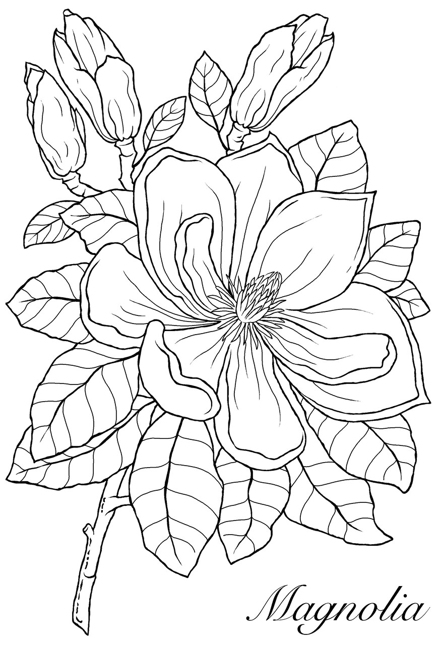 Woodware Craft Collection Woodware Clear Singles Magnolia 4 in x 6 in Stamp